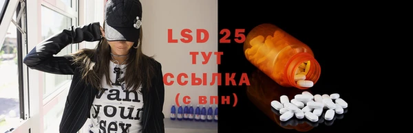 ГАЛЛЮЦИНОГЕННЫЕ ГРИБЫ Пересвет