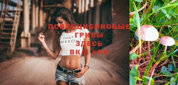 Альфа ПВП Пестово