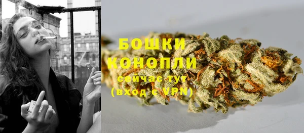 Альфа ПВП Пестово