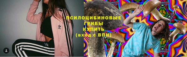 ГАЛЛЮЦИНОГЕННЫЕ ГРИБЫ Пересвет