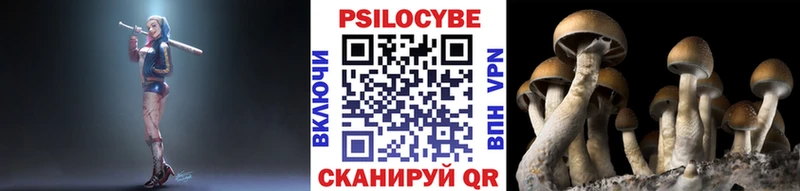 Псилоцибиновые грибы мицелий  Купить  Южноуральск 