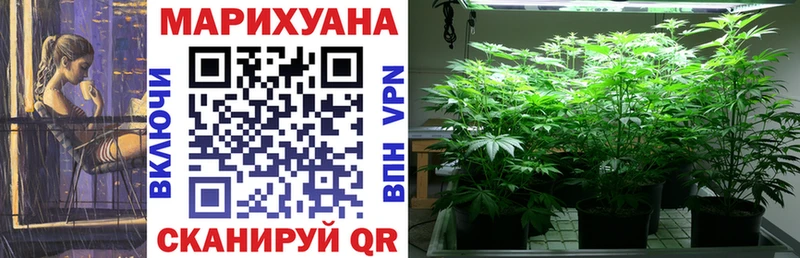 Купить где  Южноуральск  Бошки Шишки сатива 